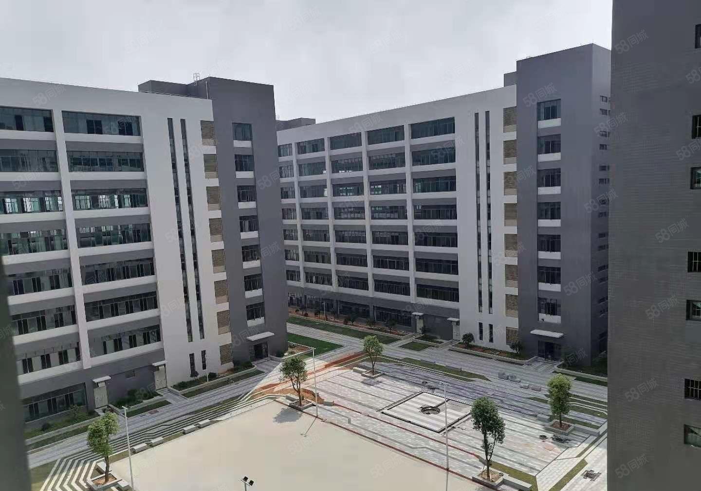 大岭山全新红本工业园厂房招租 现成消防喷淋 可办环坪 精装修