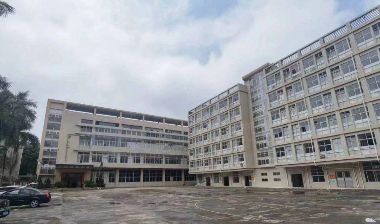 大岭山镇原房东全新标准独院无公摊实量面积出租易招工方正好用