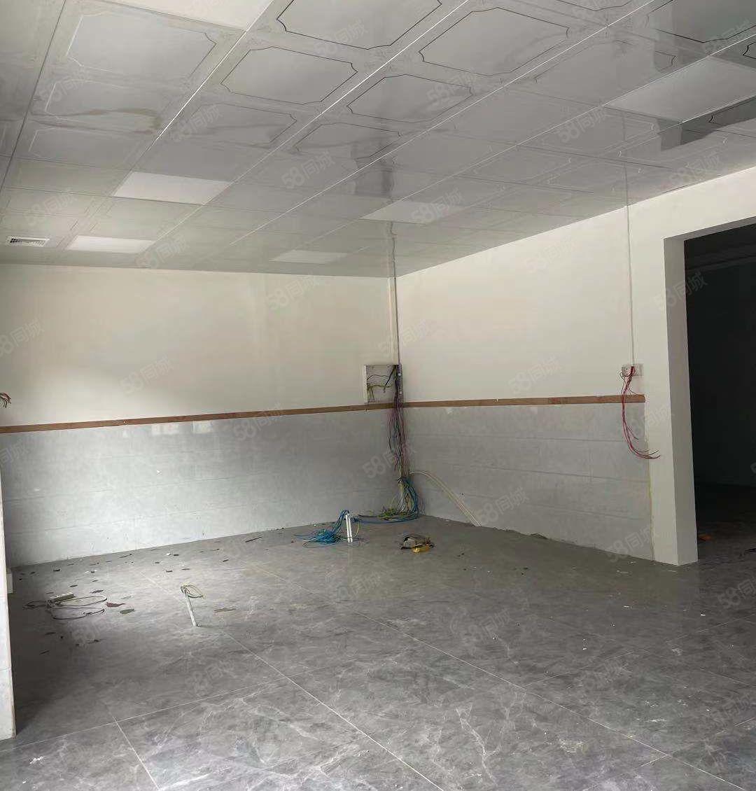 捡漏一楼8块独院 大岭山镇原房东出租铁皮空地2500平可分