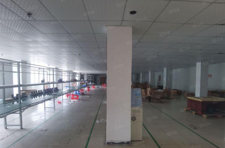 大岭山向东二楼标准厂房出租小面积精装修水电到位入驻免装修
