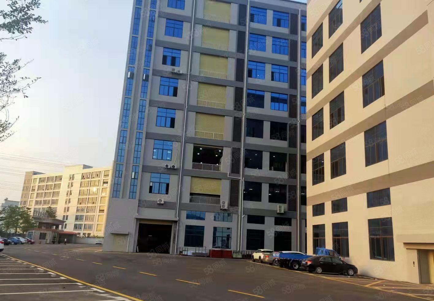 带牛角位 工业用地 大岭山镇新出标准1楼1000平方厂房分租