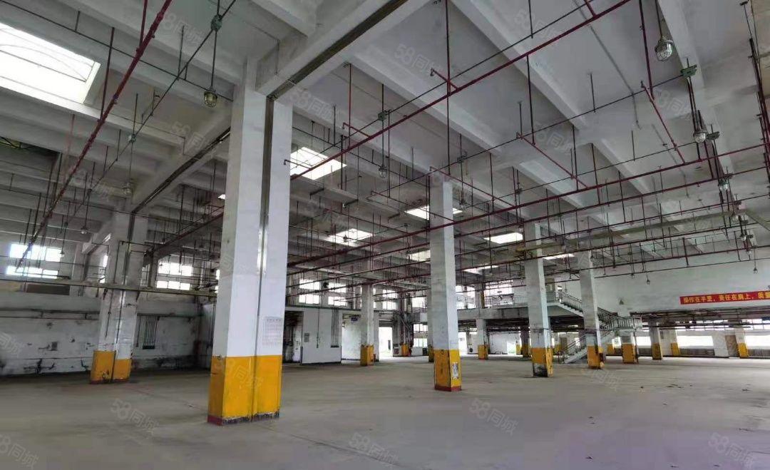 大岭山原房东单一层9200平方，层高10米，可分租