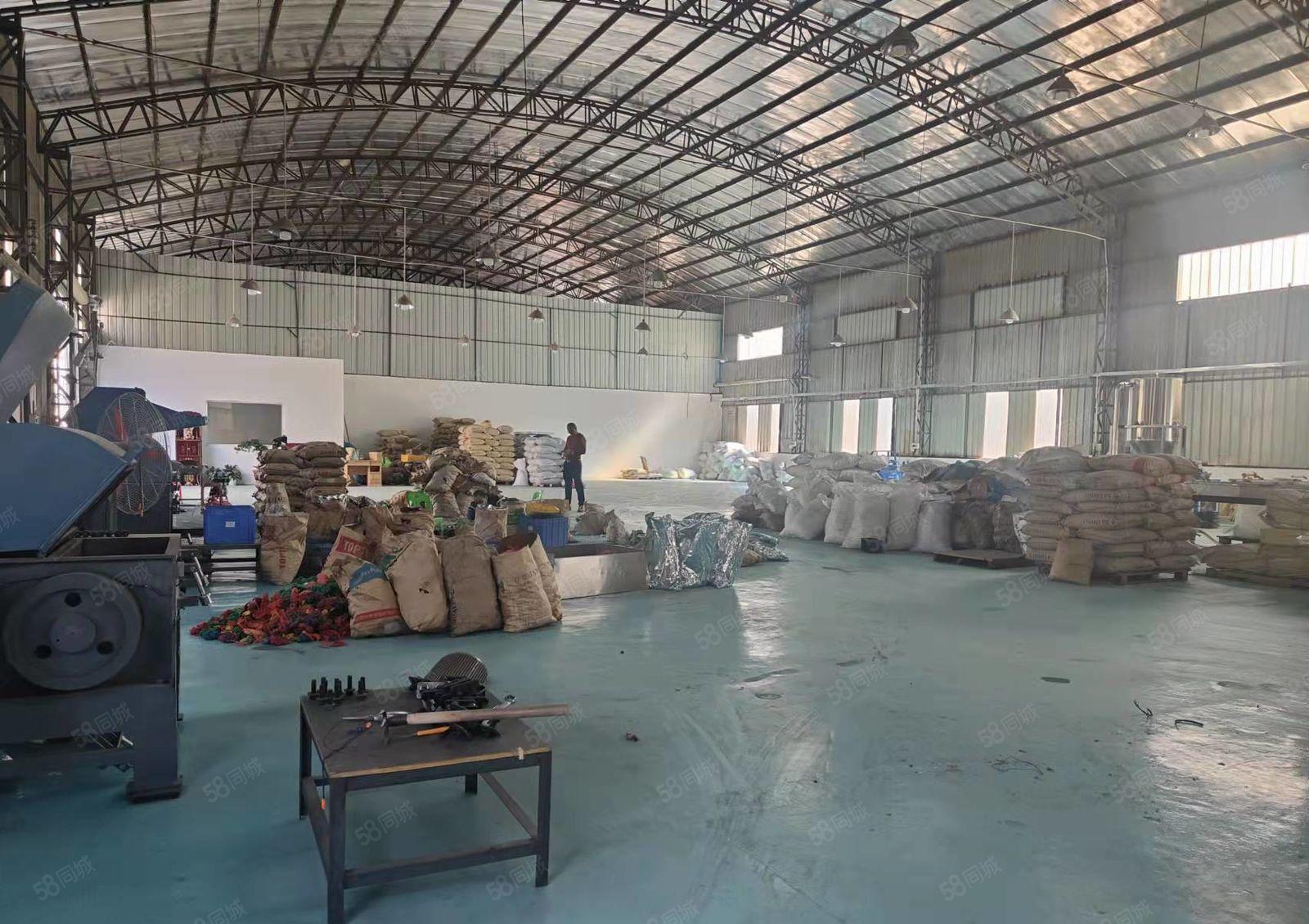 大岭山新出钢构单一层厂房600平优惠出租高8米