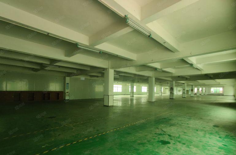 大岭山大塘新出二楼整层厂房1280平方带精装修，超低价格出租