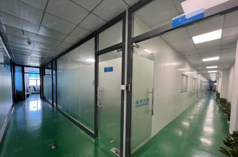 大岭山向东原房东红本可分低价精装修厂房仓库无尘车间一楼上出租