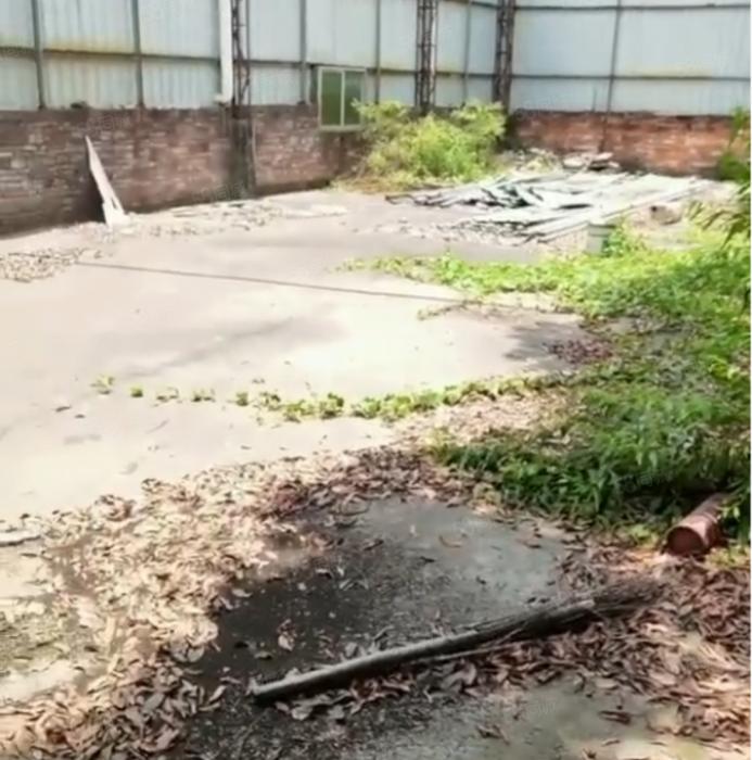 大岭山莞长路旁独院小面积厂房出租，单一层钢构 超低价