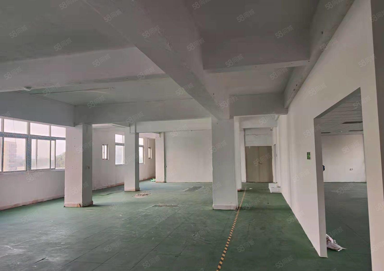 大岭山新出厂房出租450平方带办公室装修，地坪漆天花吊顶