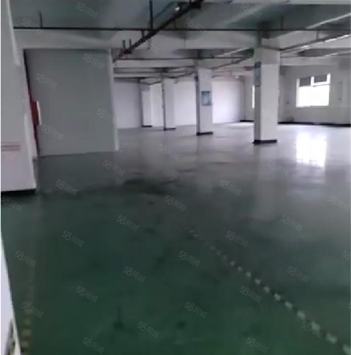 大岭山颜屋高速附近，园区厂房出租 精装修 超低价 1500平