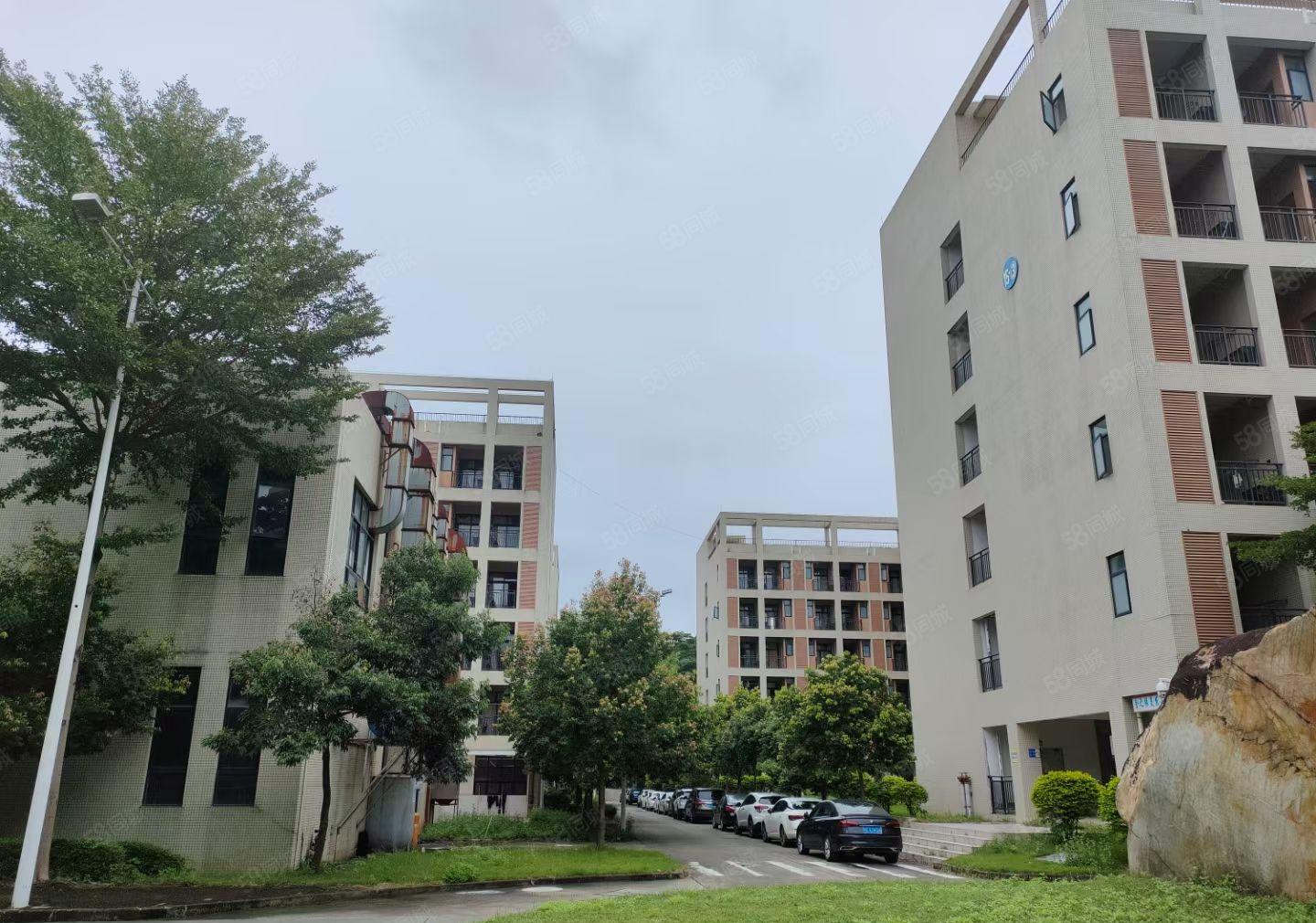 大岭山新出国有红本花园式标准厂房可分多个小独院