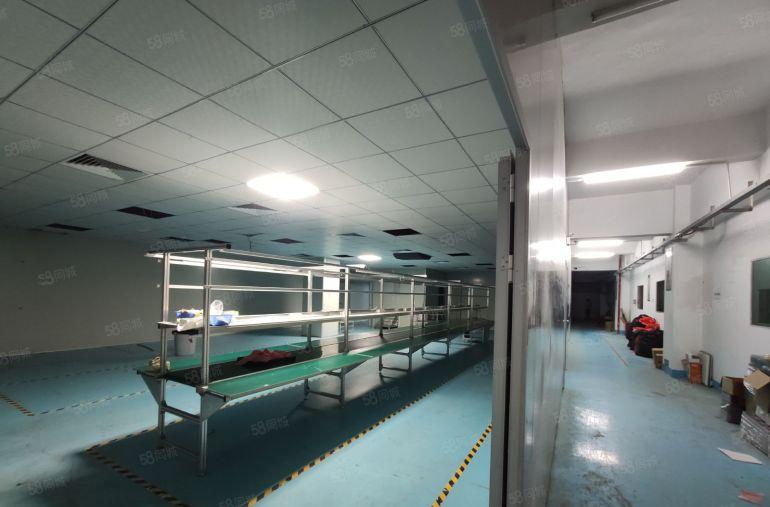 大岭山杨屋新空出三楼1800平洁净车间工业厂房出租