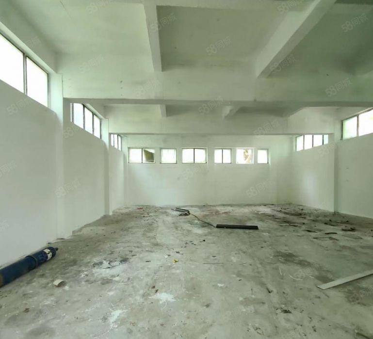 大岭山颜屋小面积单一层标准厂房出租 超低价 高6米 精装修