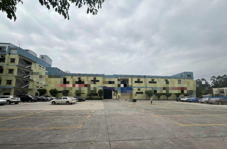 大岭山950平一楼 现成水电办公室装修  现成航车龙大高速口