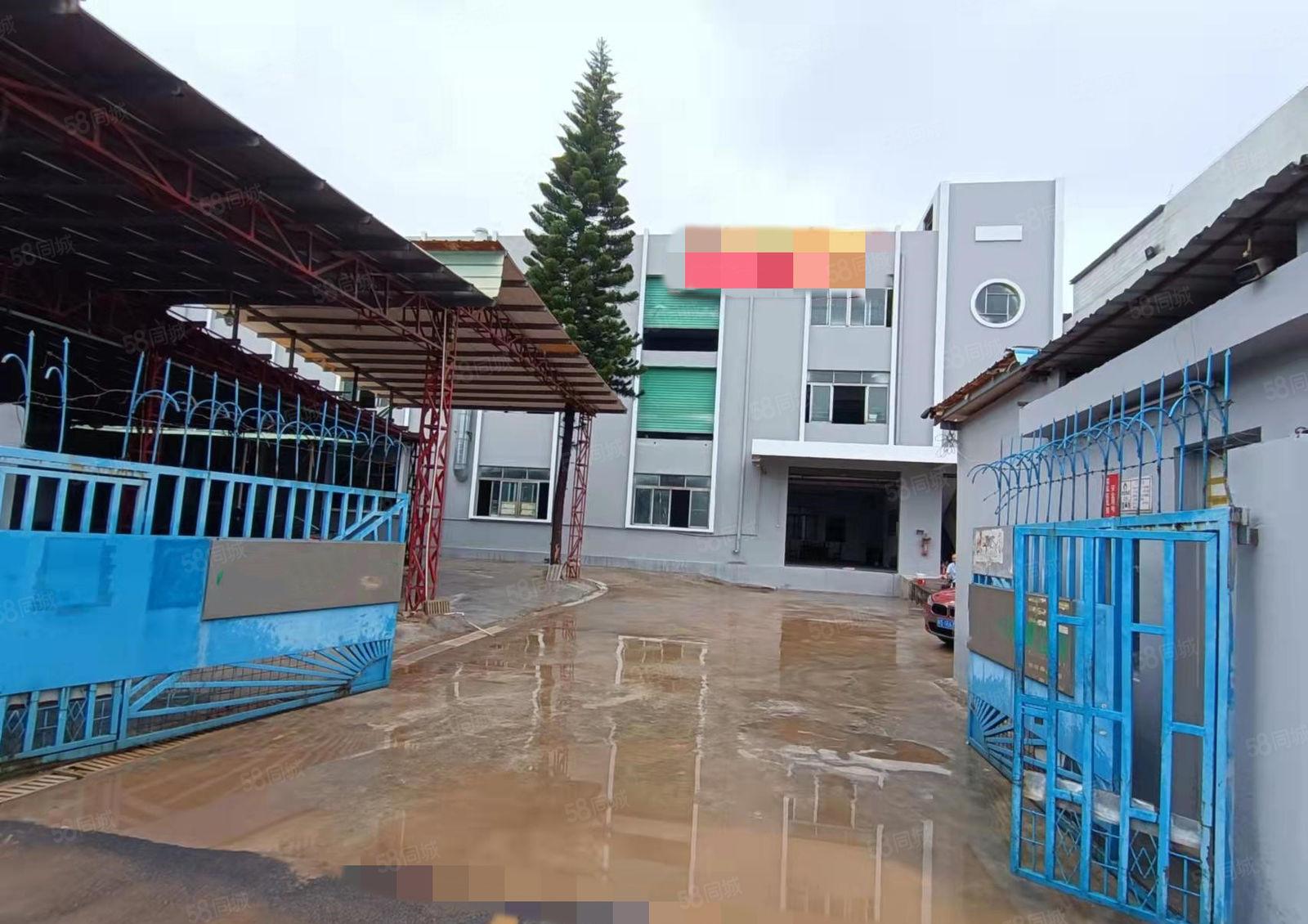 大岭山6000平独门独院厂房出租，全新精装修，仓库出租