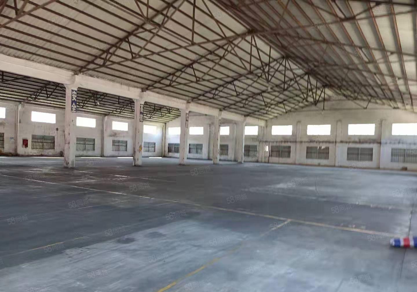 大岭山厚大路边单一层3000平方，面积实量，配电630千瓦