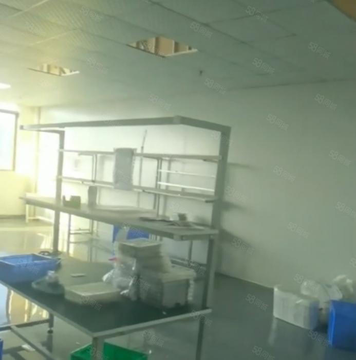 大岭山杨屋 现成精装修厂房出租 无尘车间 超低价