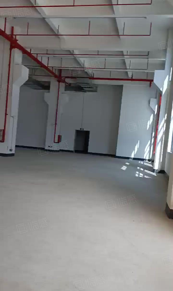 大岭山原房东全新工业园低价出租，证件齐全可办环评，大小分租