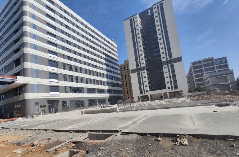 大岭山杨屋高速路口，全新厂房仓库出租，10元实量，7部5吨梯