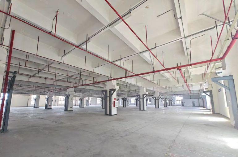 特价大岭山标准厂房大小面积重工业厂房出租带牛角注塑压铸模具