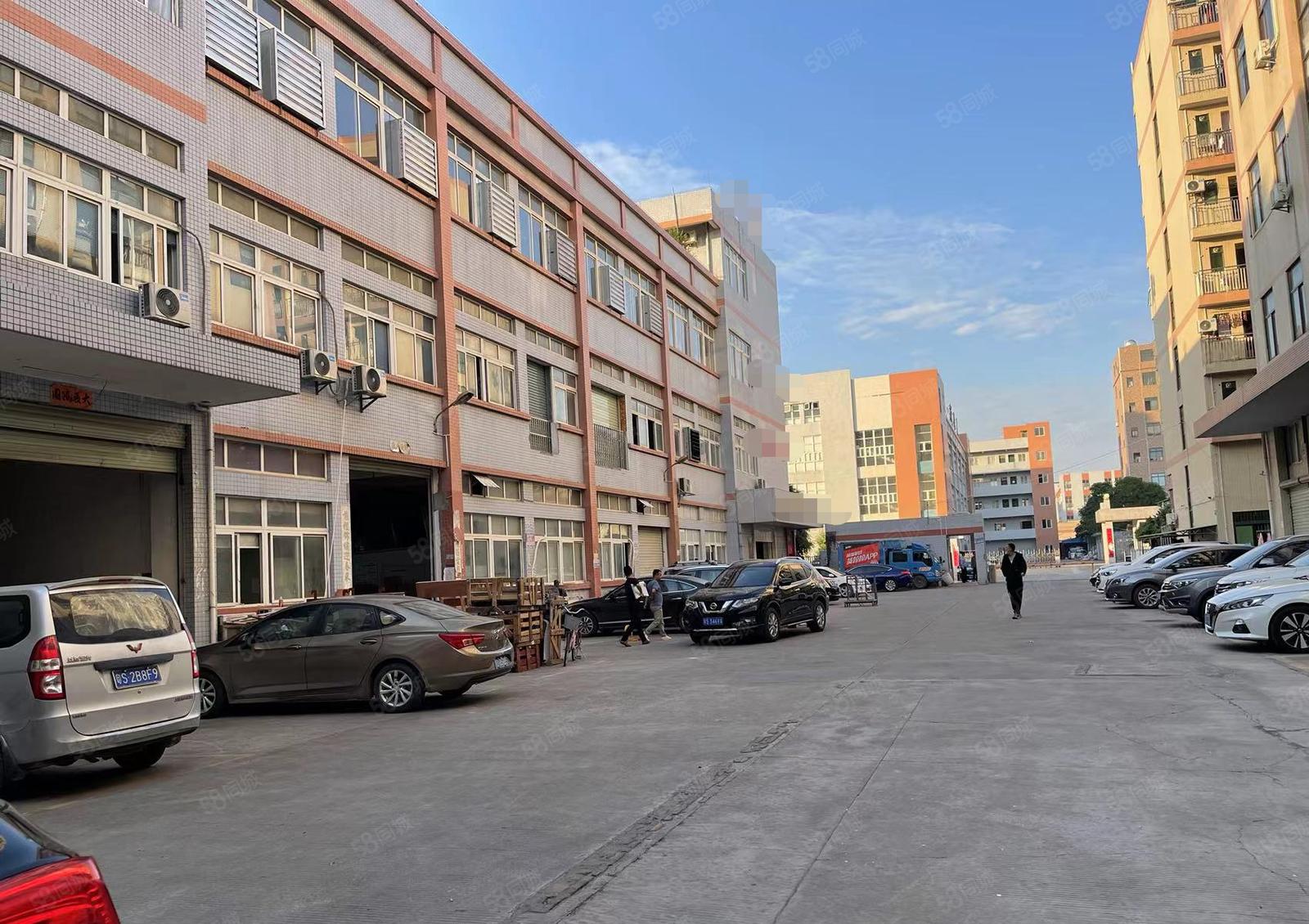 金桔村石大路边新出整层2400平厂房招租 现成豪华办公室装修