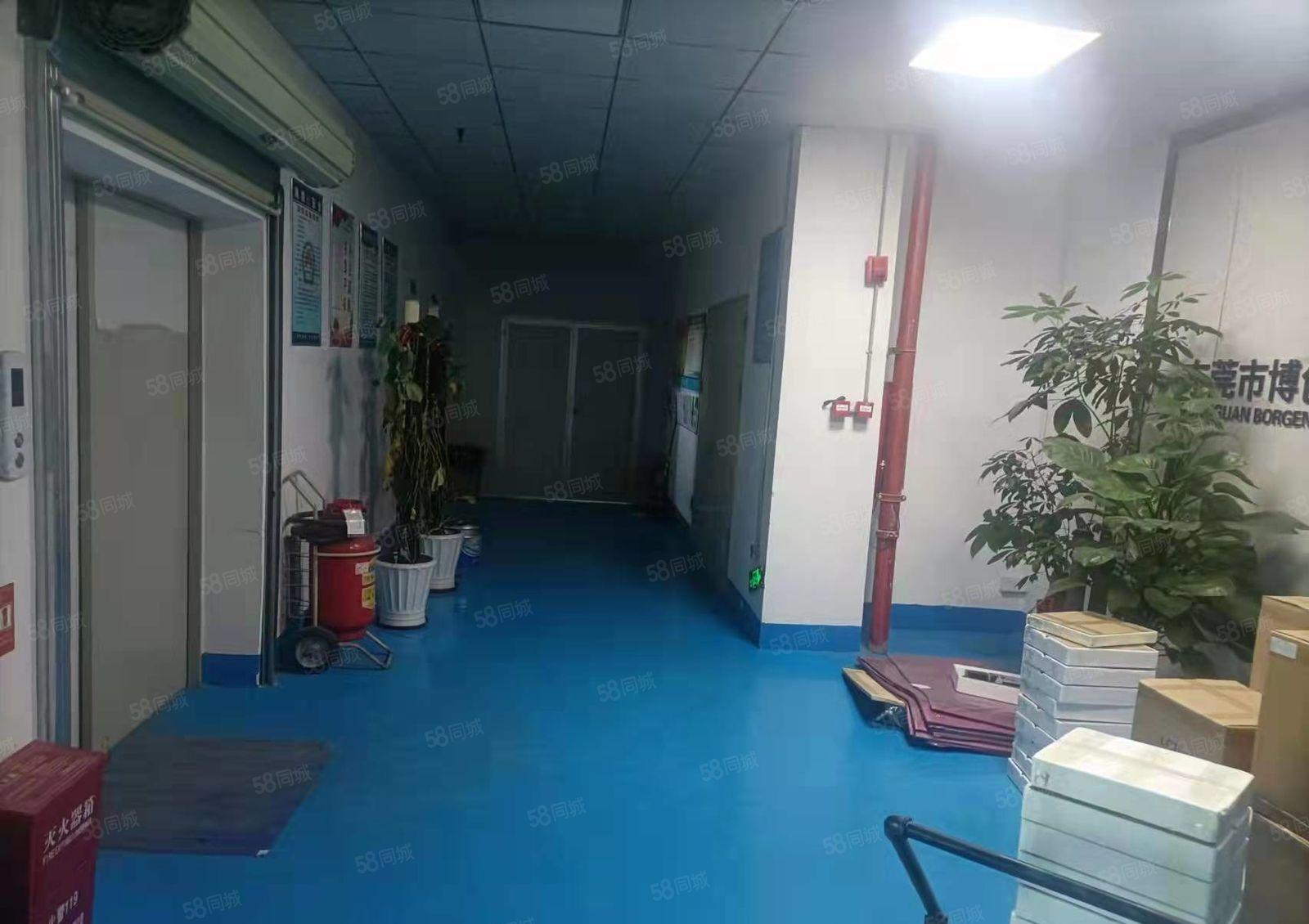 高大上  大岭山镇园区出租1250平厂房精装修办公室可办环评