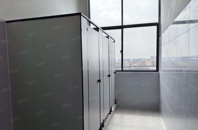 （自带环评可排水）大岭山全新线路板特种厂房，树脂，油墨，镀膜