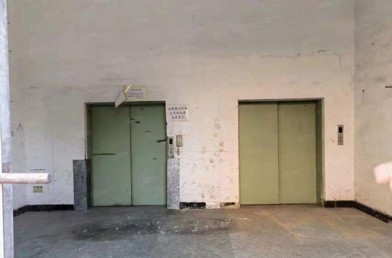 石碣桔洲低价厂房出租3500平方起分租价格10元起