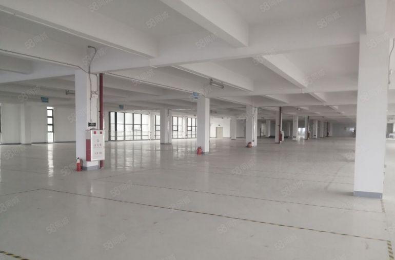 石碣鹤田厦靠近南城全新带红本原房东标准厂房出租