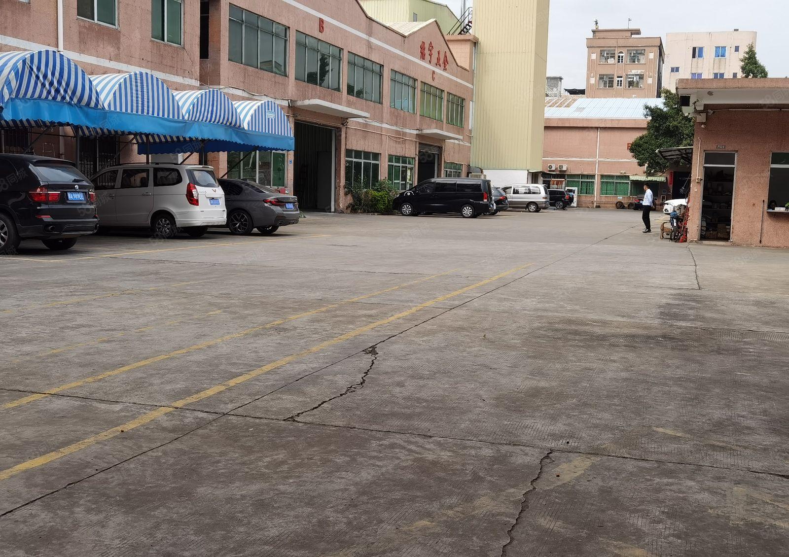 石竭横滘园区新出标准单一层2500平滴水8米大小可分