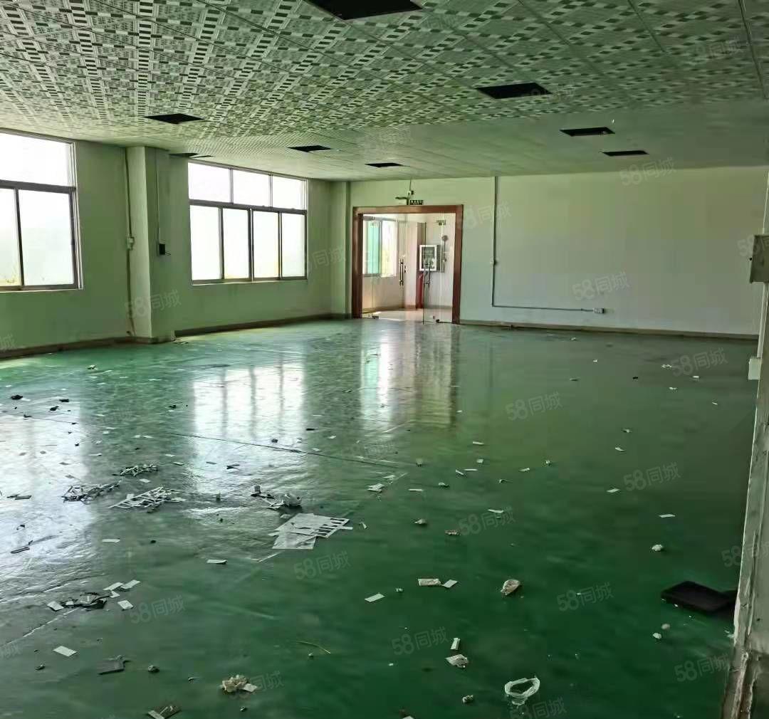 新出！石碣镇厂房招租一楼600方进出方便！合适各种行业！