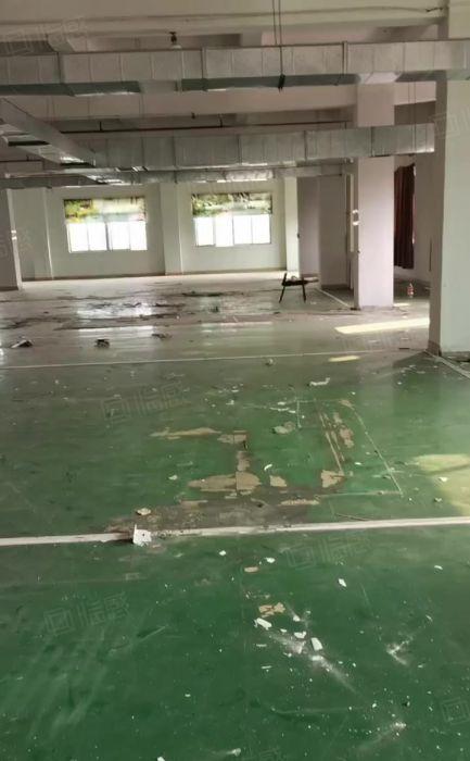 石碣工业园区楼上1200平方 实量面积，现城装修，水电齐全