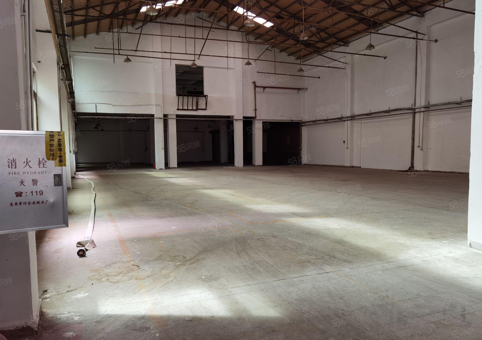 石竭横滘园区新出标准单一层2500平滴水8米大小可分