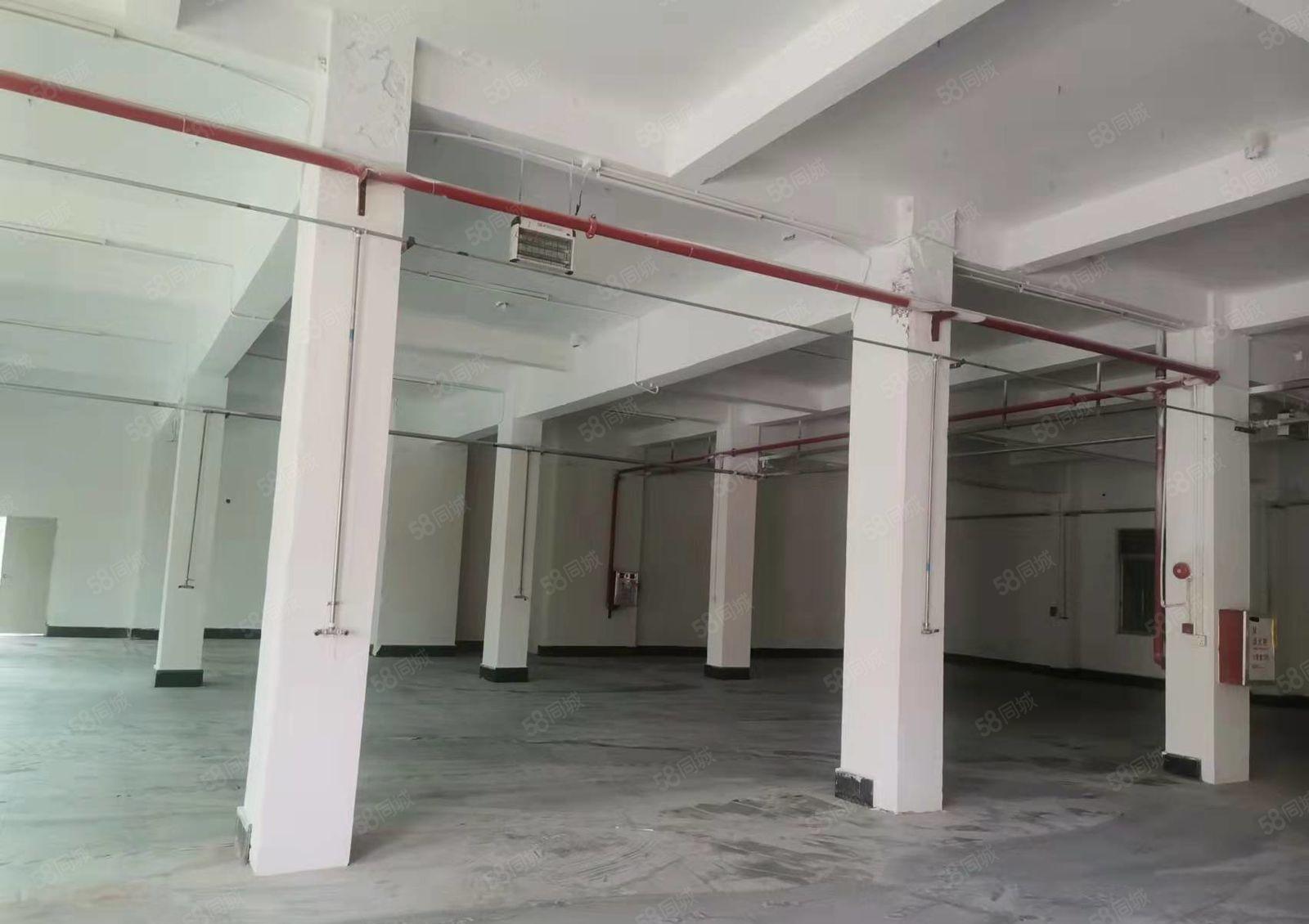 石碣横滘招租独院厂房一楼600平方，位置好，可办环评！