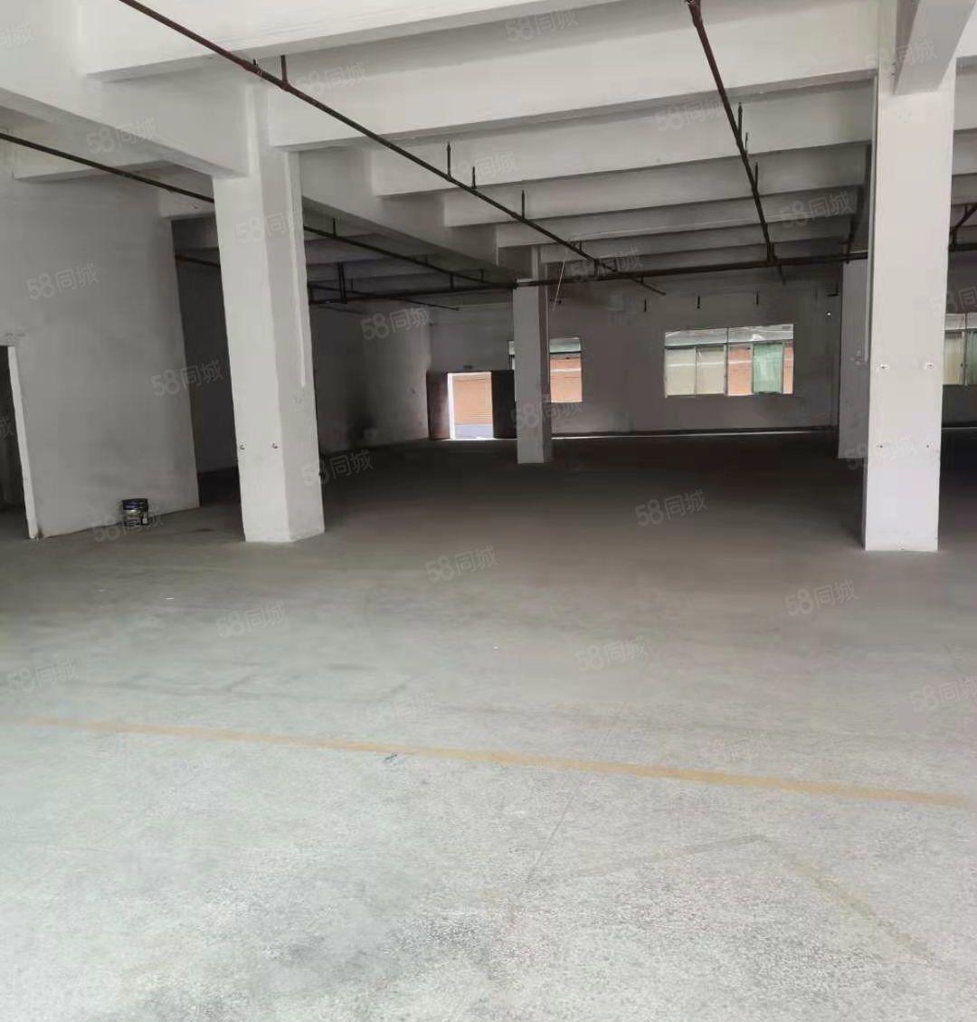 石碣一手房东招租标准独院厂房一楼800平方，无公摊，可办环评