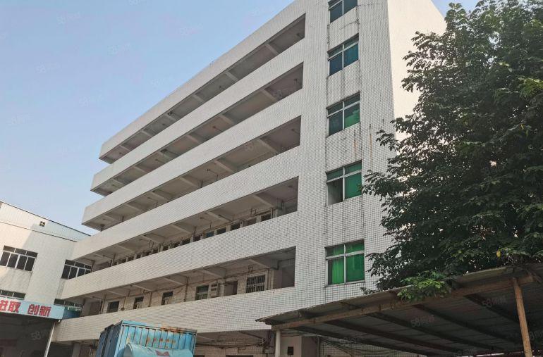 石碣镇带独立办公楼厂房共三层5000平方独院800平方起分租