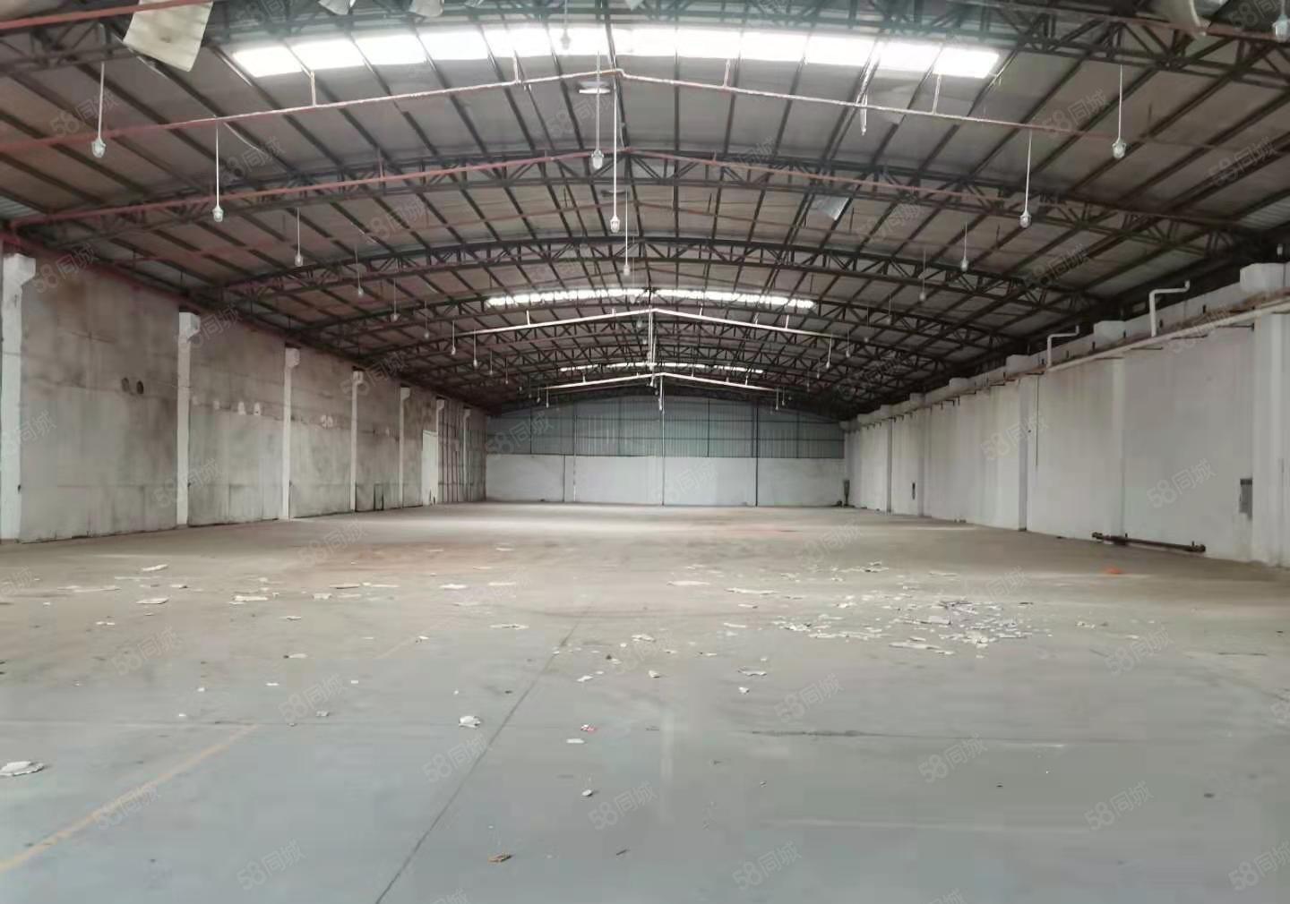 石碣横滘招租独院钢结构1000平方，层高8米，可随时入驻！