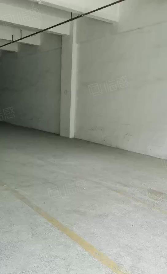 石碣一手房东招租标准独院厂房一楼800平方，无公摊，可办环评