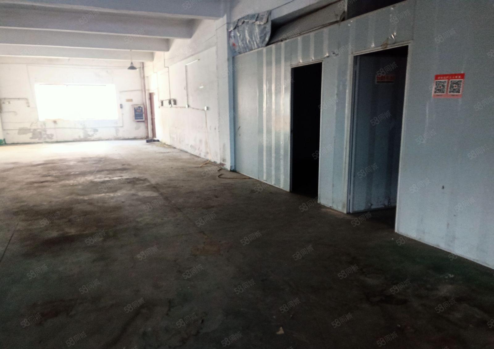 石碣现场装修标准厂房350平方米，500平方米低价出租