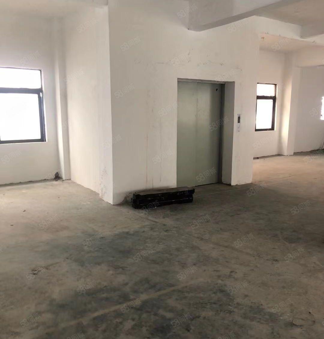 新！原房东直租！东莞石碣650方小型厂房