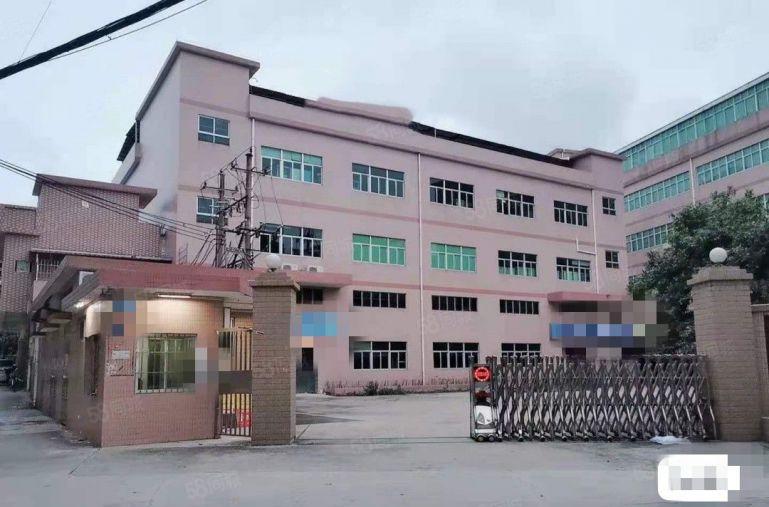 石碣桔洲村工业园区厂房一楼1300方，原合同转让，全新装修