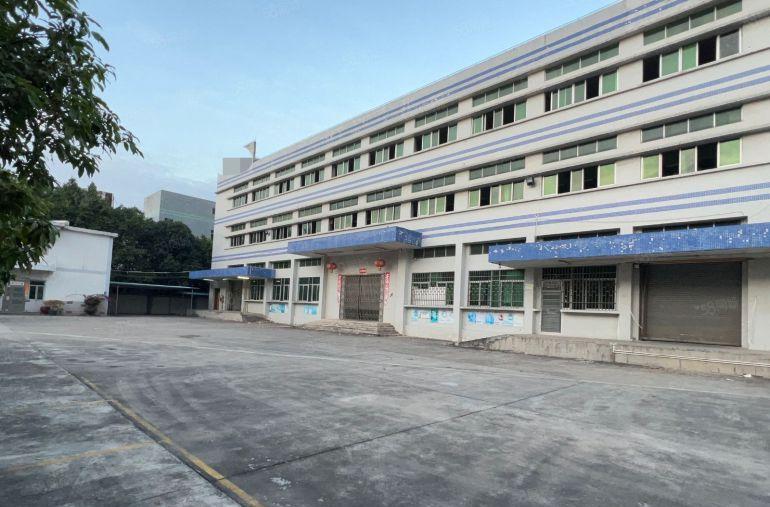 石碣中心成熟工业区新出独院厂4800平小可以分租800平