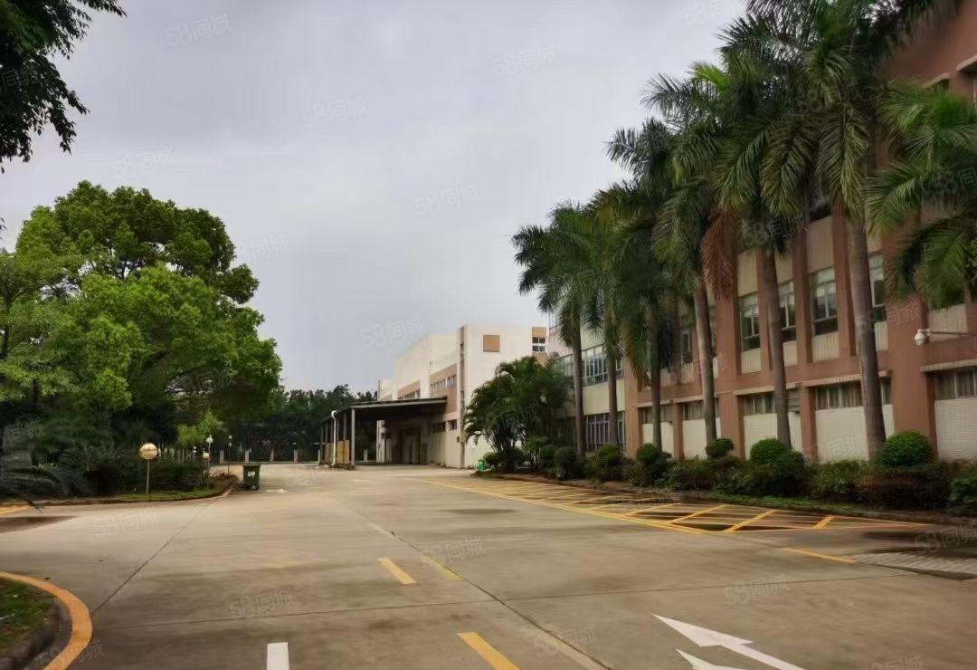 石碣镇村委空出工业园区独栋标准厂房出租四层8000平方