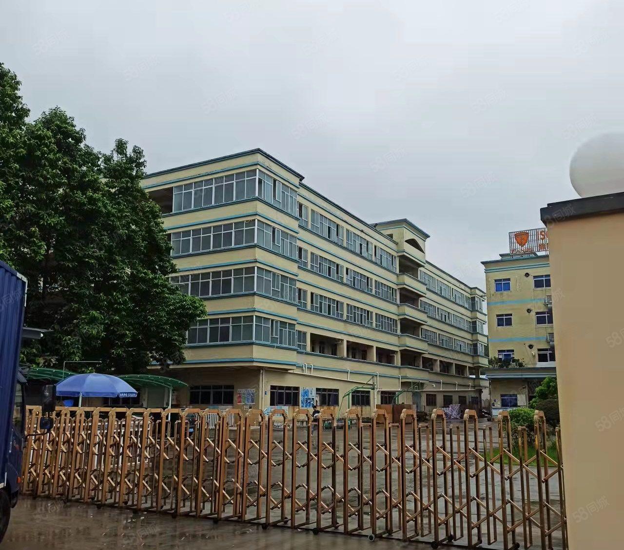 石碣水南租客分租一楼400平方，现成装修，无公摊，价格好谈！