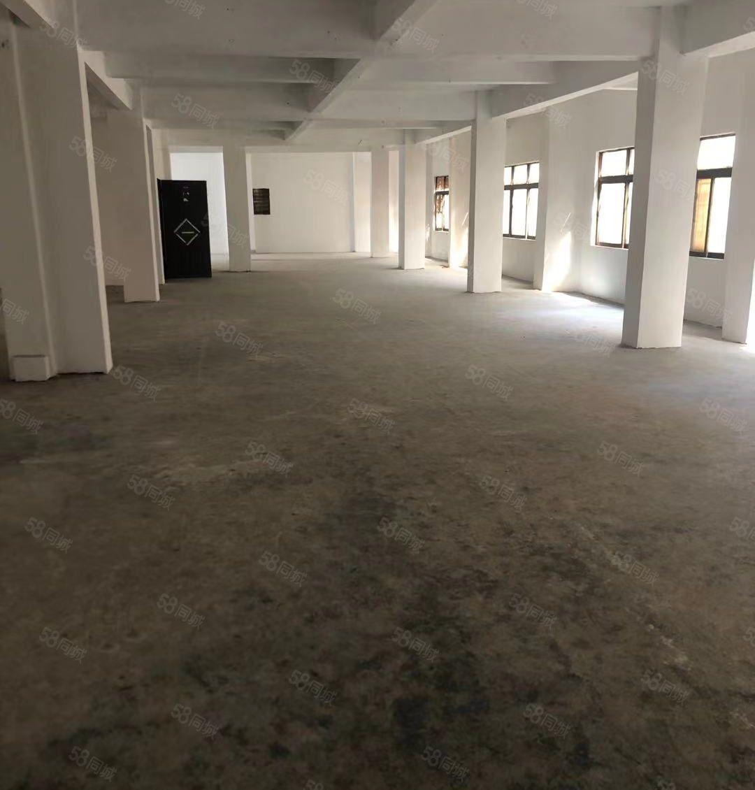 新！原房东直租！东莞石碣650方小型厂房