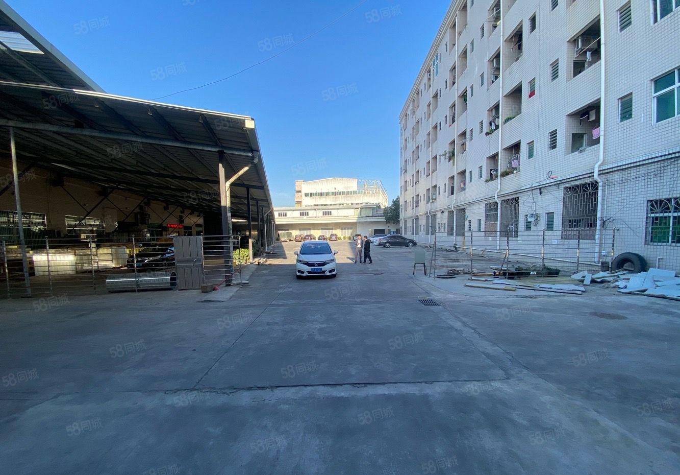 形象好石碣新出钢结构低价厂房出租可分租设备五金仓库出租空地大