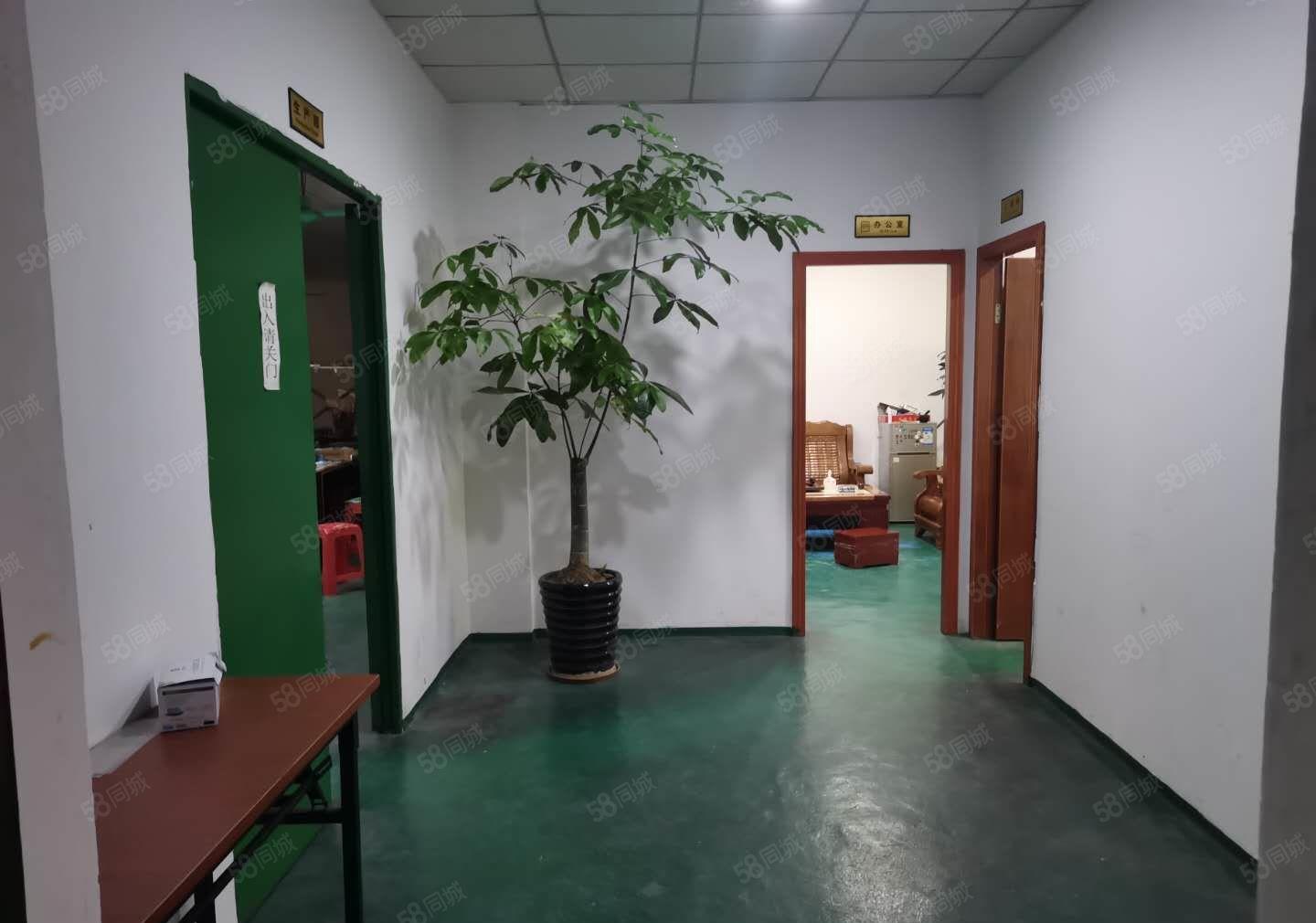 现成装修，入驻即可生产，石碣沙腰招租独院厂房一楼800平方！