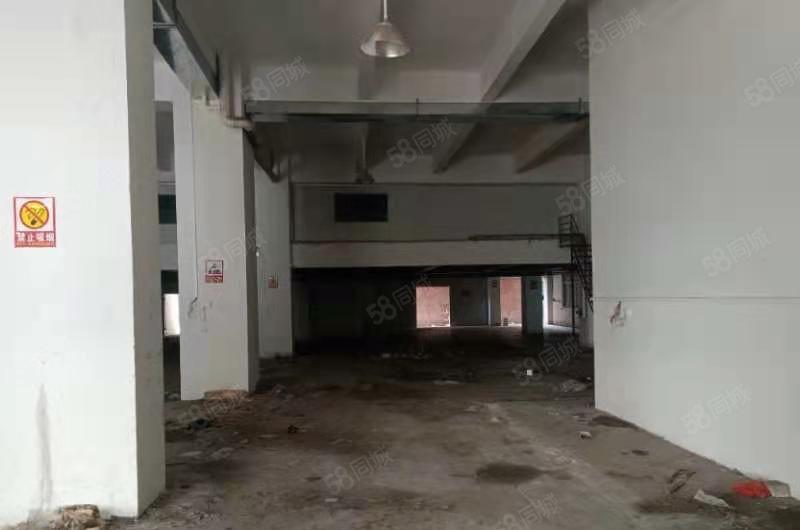 新盘！东莞石碣镇独栋厂房出租！价格便宜！可以分租