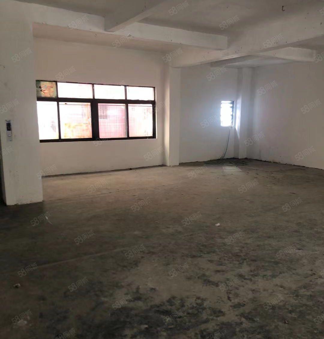 新！原房东直租！东莞石碣650方小型厂房