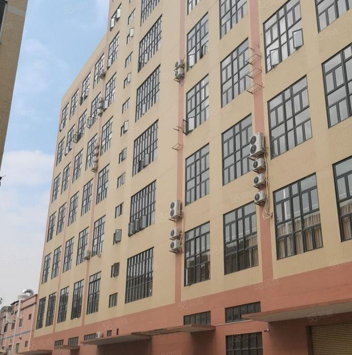 石碣桔洲低价厂房出租3500平方起分租价格10元起