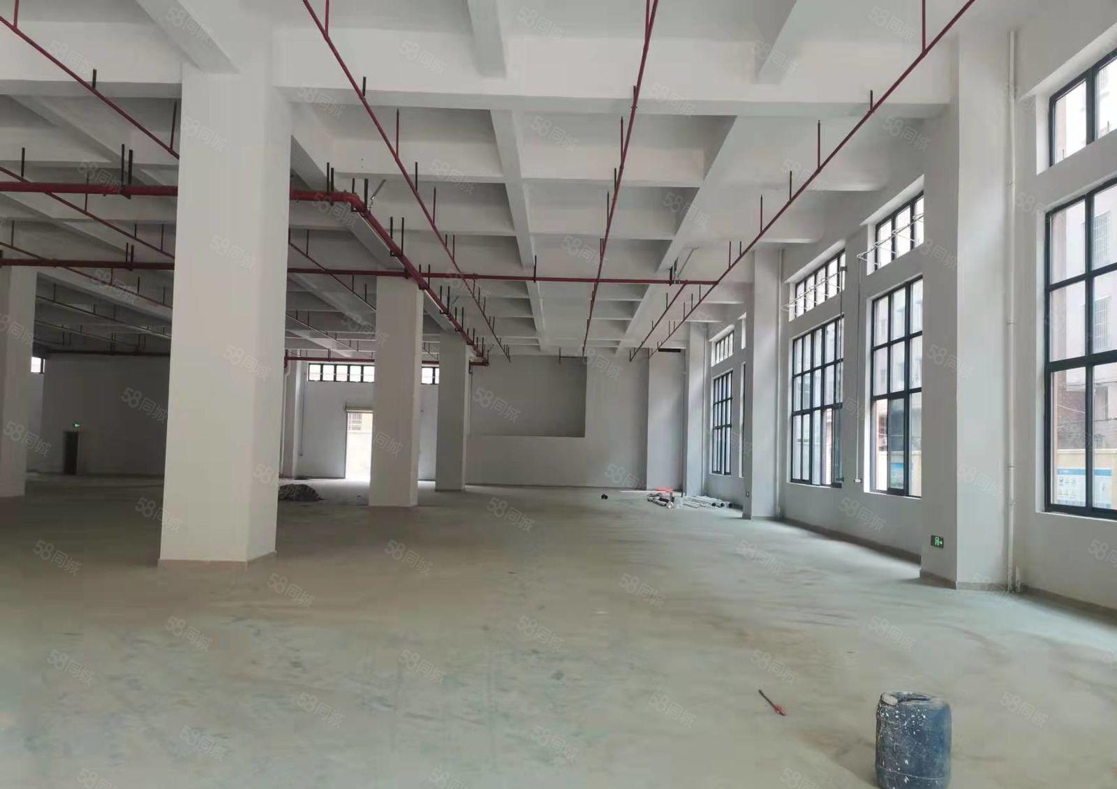 石碣水南原房东招租全新厂房一楼800平方，层高7.9米！