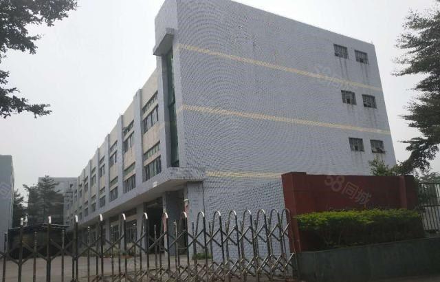 石碣四甲招租独院厂房一楼400平方，现成装修，入驻即可生产！